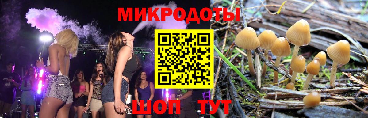 Галлюциногенные грибы Cubensis Бугуруслан
